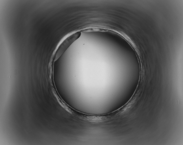 X0000086320862200704202020