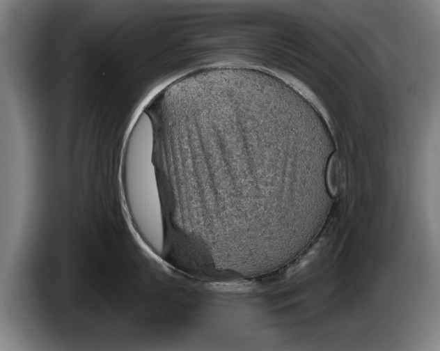 X0000086320863200704202020