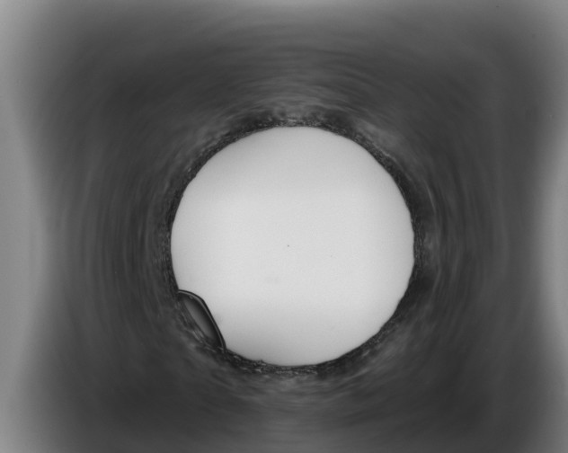 X0000086320865200704202020