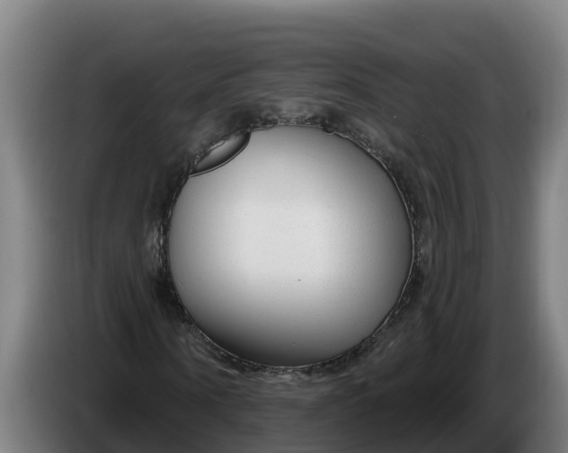 X0000086320866200704202020