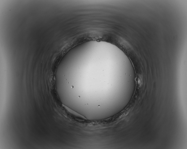 X0000086320867200704202020