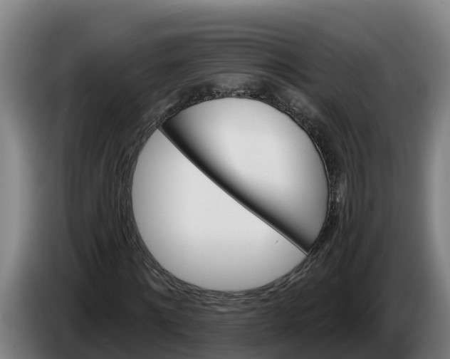 X0000086320868200704202020