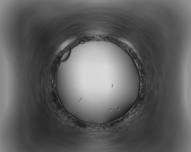 X0000086320871200704202020