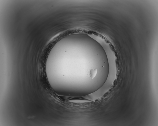 X0000086320872200704202020