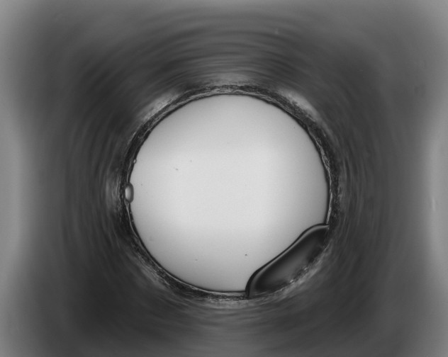 X0000086320873200704202020