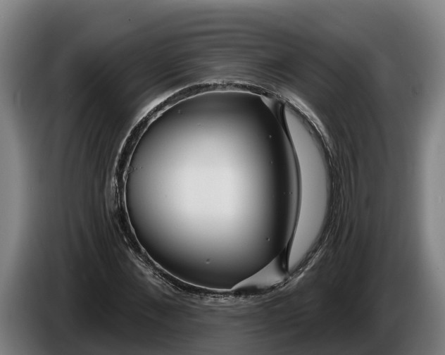 X0000086320876200704202020