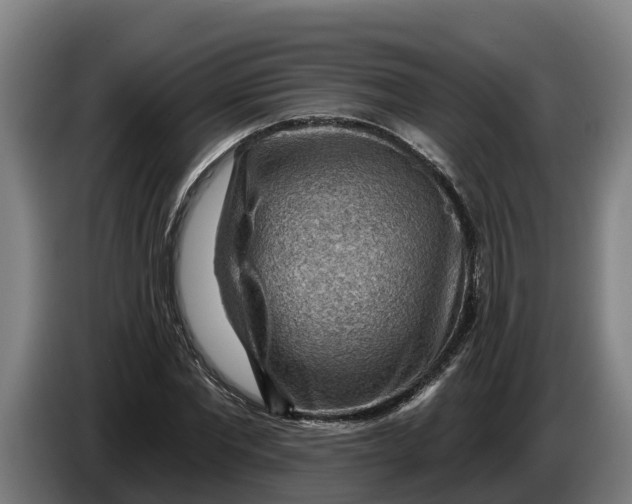 X0000086320877200704202020