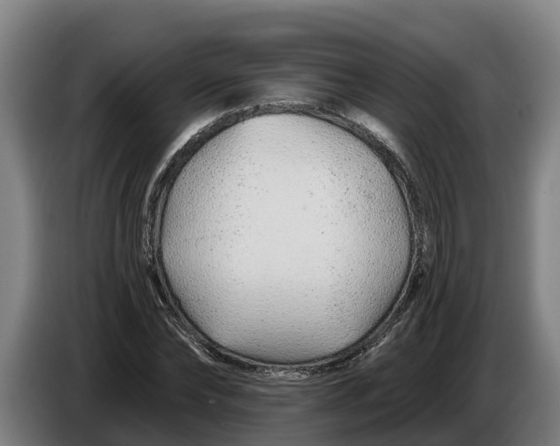 X0000086320878200704202020