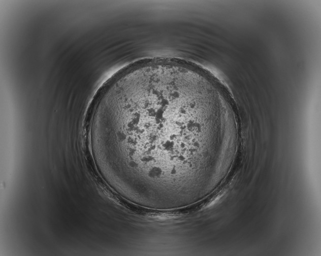 X0000086320879200704202020