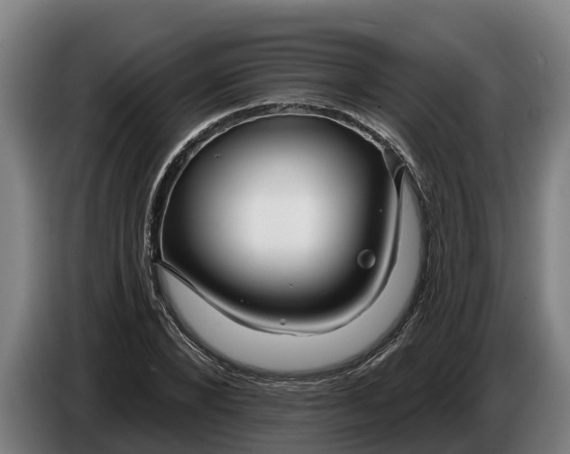 X0000086320880200704202020