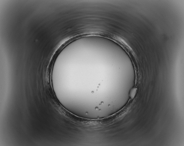 X0000086320883200704202020