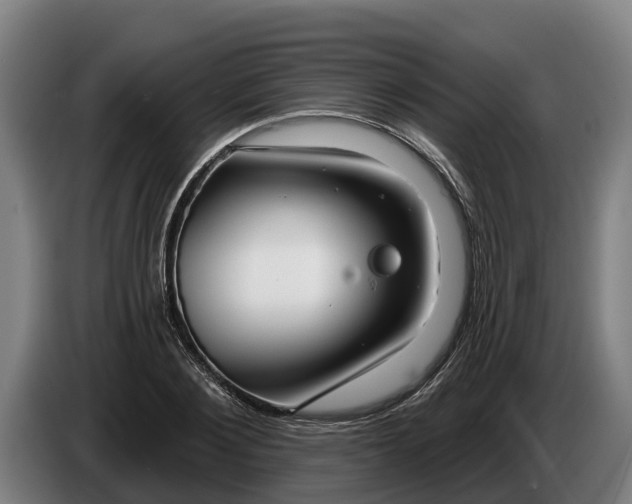 X0000086320884200704202020