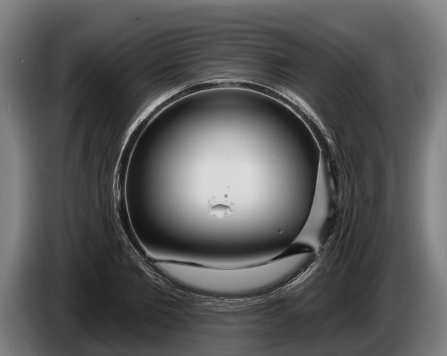 X0000086320885200704202020