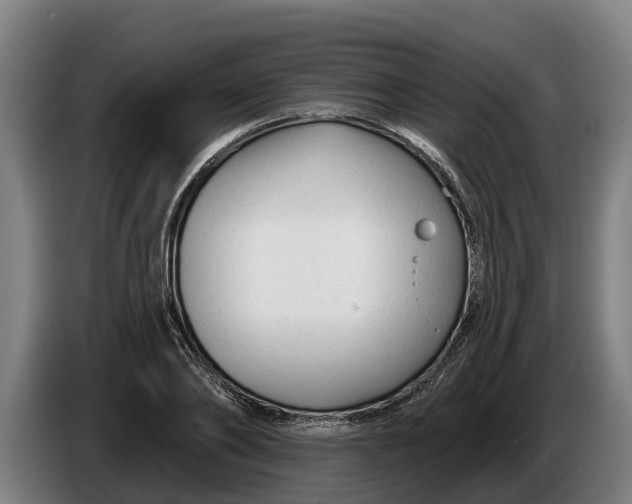 X0000086320886200704202020