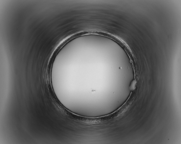 X0000086320887200704202020