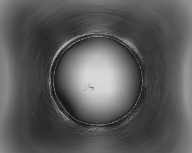 X0000086320888200704202020