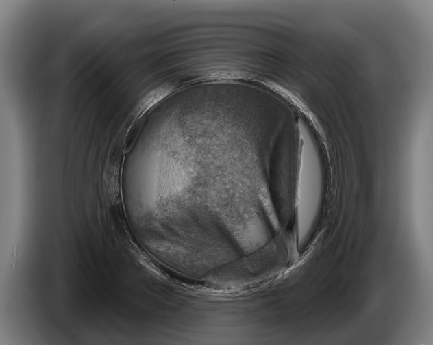 X0000086320889200704202020