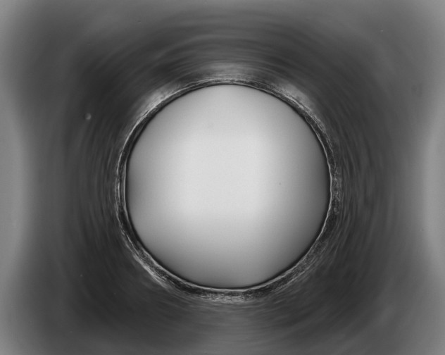 X0000086320890200704202020