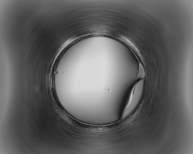 X0000086320891200704202020