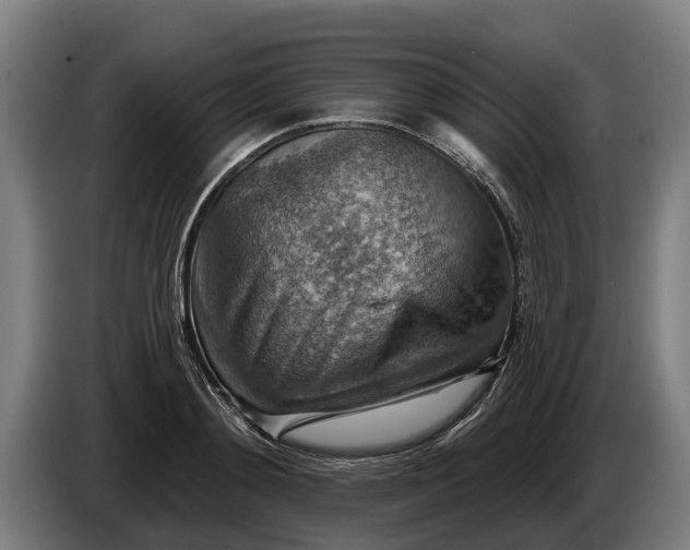 X0000086320892200704202020