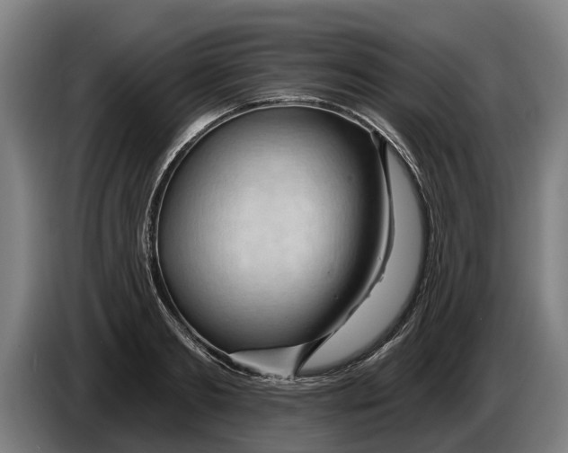 X0000086320893200704202019