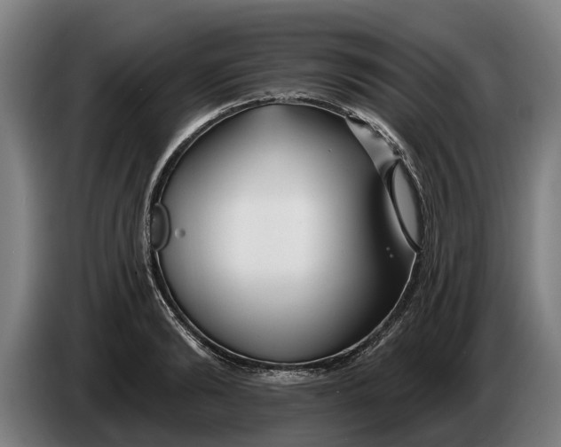 X0000086320894200704202019