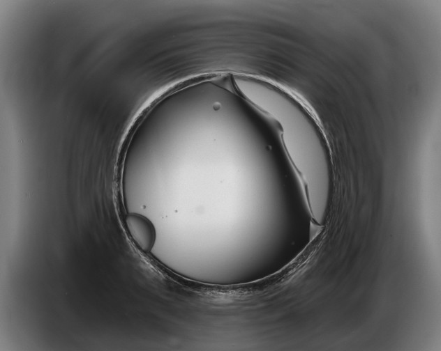 X0000086320895200704202019