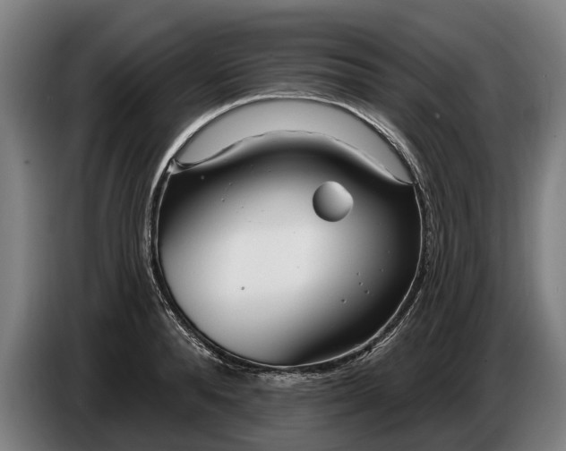 X0000086320896200704202019