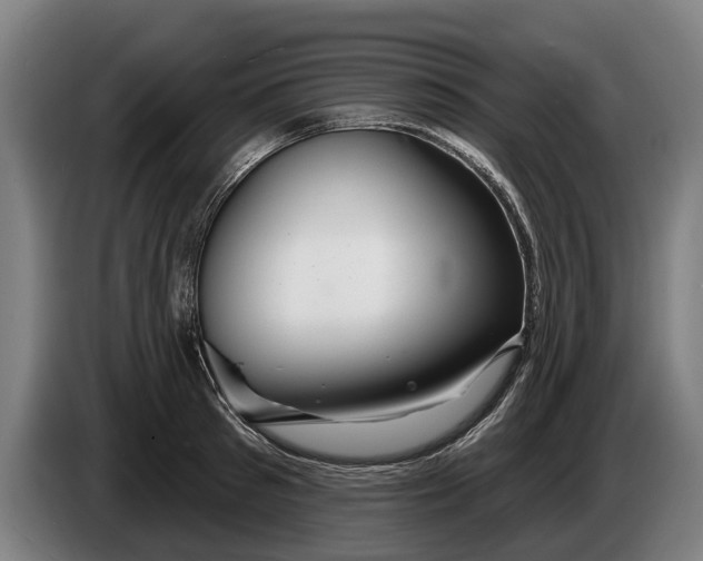 X0000086320897200704202019