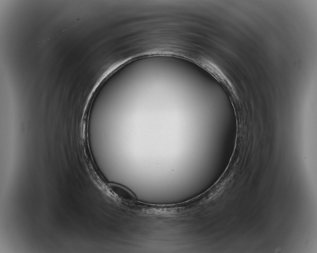 X0000086320900200704202019