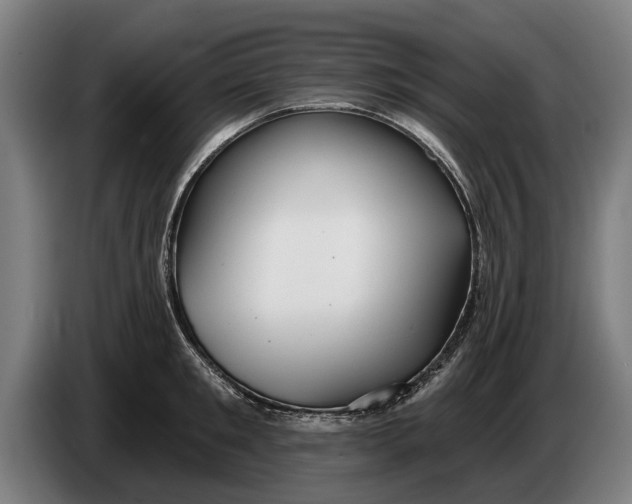 X0000086320901200704202019