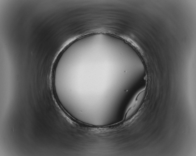 X0000086320902200704202019