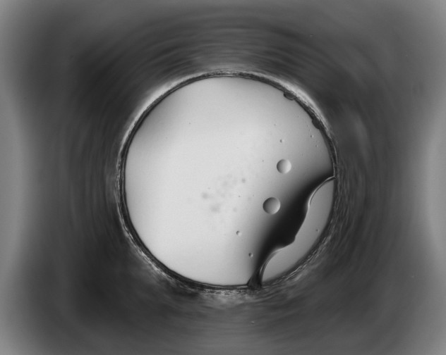 X0000086320903200704202019