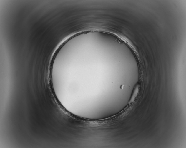 X0000086320904200704202019