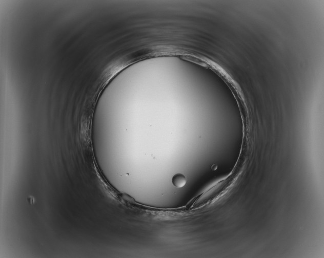 X0000086320905200704202019