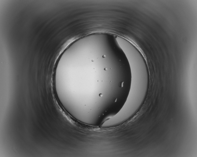 X0000086320906200704202019