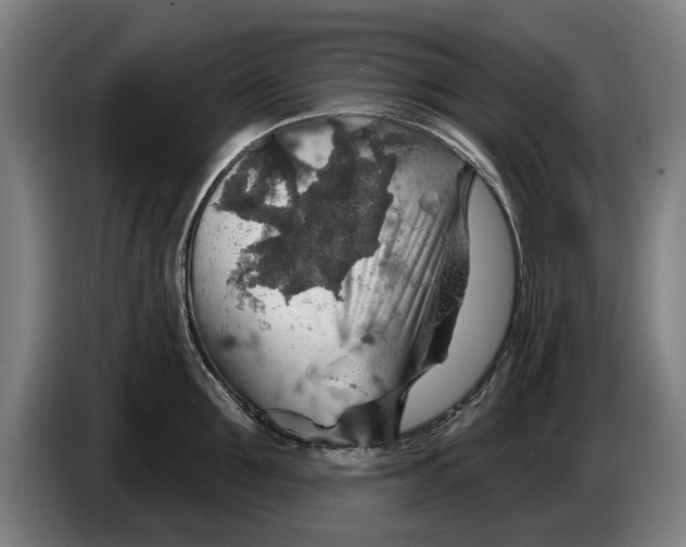 X0000086320907200704202019