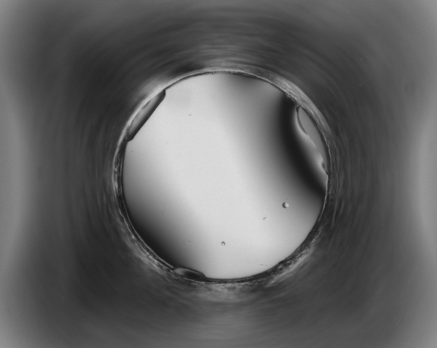 X0000086320908200704202019