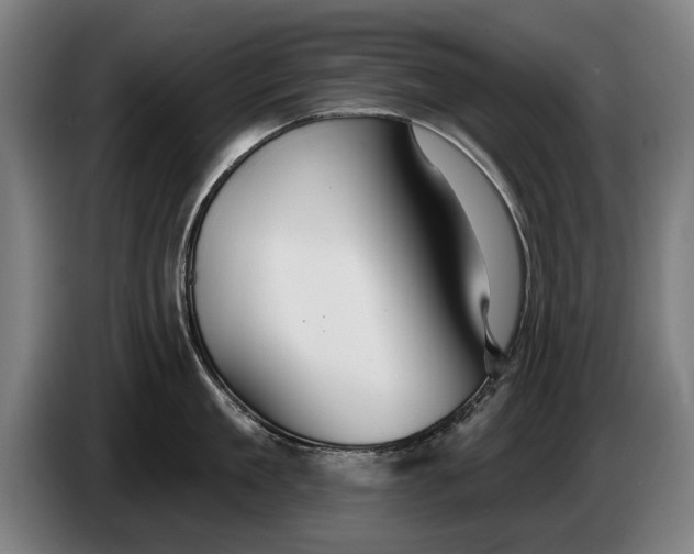 X0000086320909200704202019