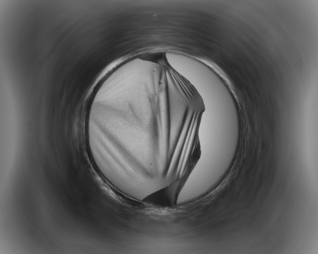 X0000086320910200704202019