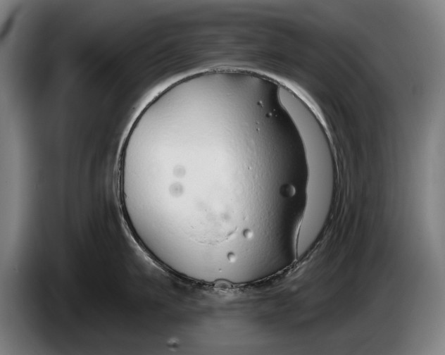 X0000086320911200704202019