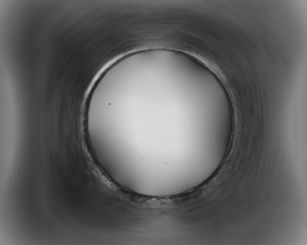 X0000086320912200704202019