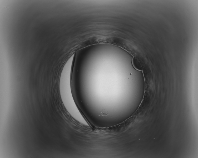 X0000086320914200704202019