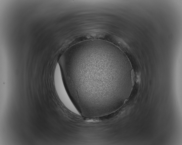 X0000086320915200704202019