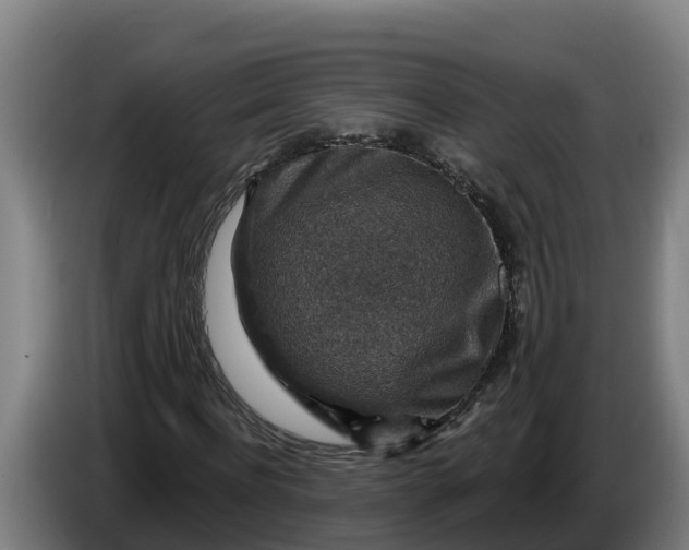 X0000086320916200704202019