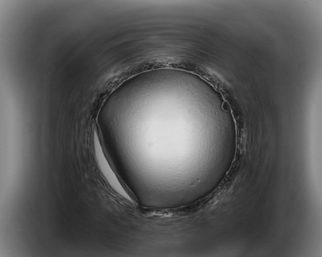 X0000086320917200704202019