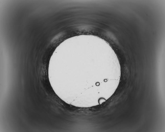 X0000086320918200704202019