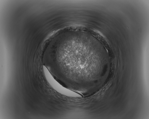 X0000086320919200704202019