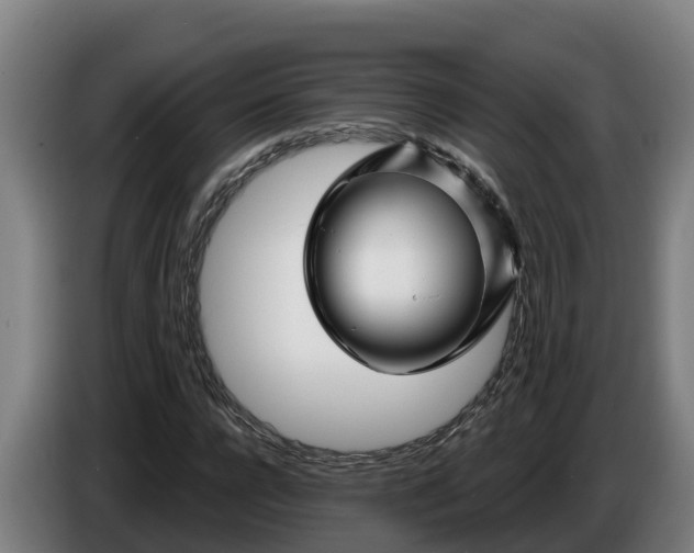 X0000086320920200704202019