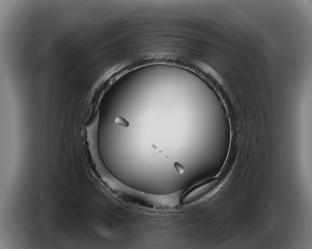 X0000086320922200704202019